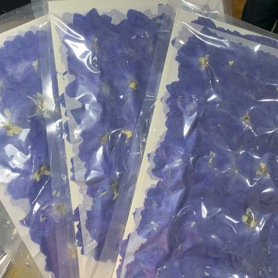 1000 Stück gepresste, getrockn – Dried Flower Bookmark Bewertung und Preis